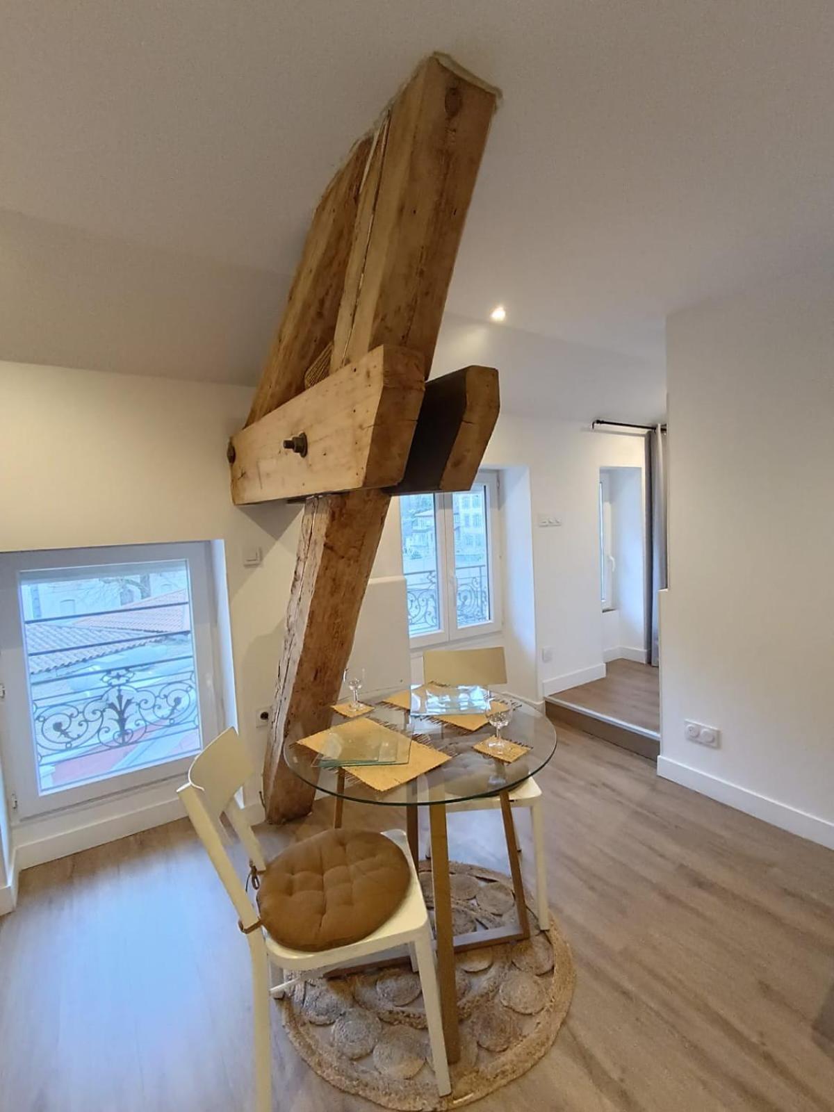 Apartment Cosylocation - Cocooning- Vue Theatre Antique Vienne (Isere)